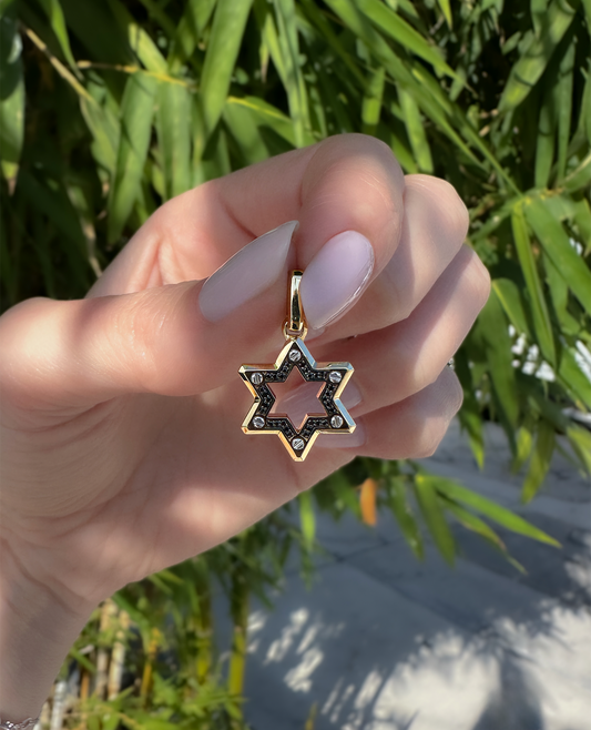 STAR OF DAVID Pendant in Two-Tone Gold with Black Diamonds